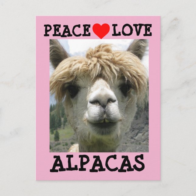 ALPACA LOVE POSTCARDS (Front)