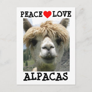ALPACA LOVE POSTCARDS POSTCARD