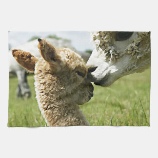 Alpaca Love Tea Towel