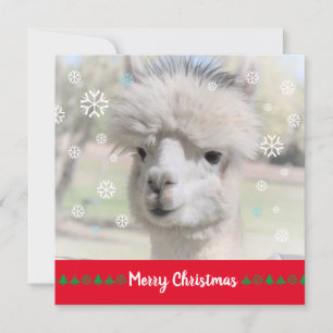 Alpaca Merry Christmas Greeting Card