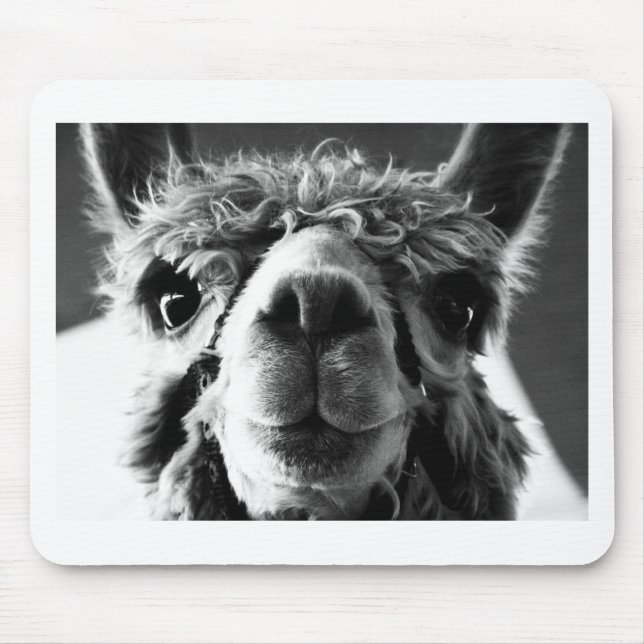 Alpaca Mouse Pad (Front)