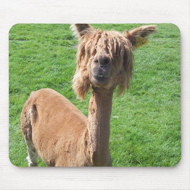 Alpaca Mouse Pad (Front)