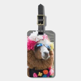 Alpaca, Pachacoto, Cordillera Blanca, Ancash Luggage Tag