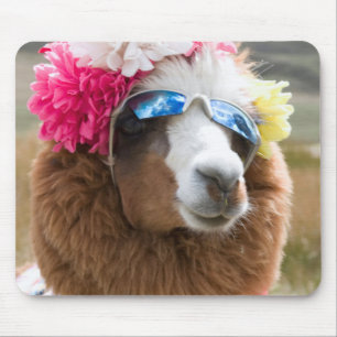 Alpaca, Pachacoto, Cordillera Blanca, Ancash Mouse Pad