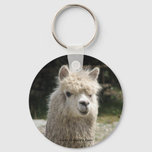 Alpaca, Parque Llaviucu, Ecuador Key Ring