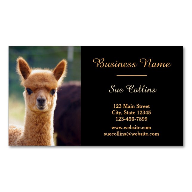 Alpaca Pet Magnetic Business Cards (Pack Of 25) (Front)