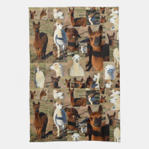 Alpaca Photo Collage, Dish Towel