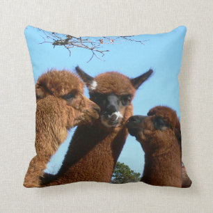 Alpaca Pillow