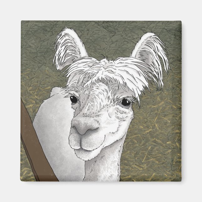 Alpaca Portrait 2 Magnet (Front)