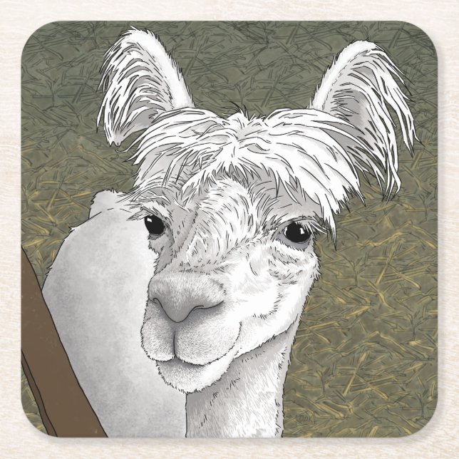 Alpaca Portrait 2 Square Paper Coaster (Front)