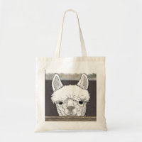 Alpaca Portrait