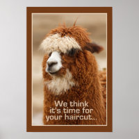 Alpaca poster