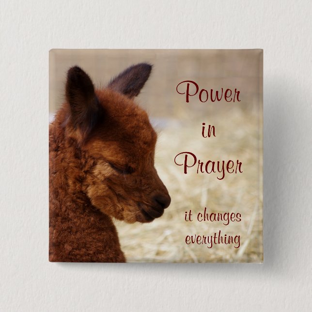 Alpaca Prayer Pin (Front)