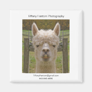 Alpaca Promo Piece Magnet