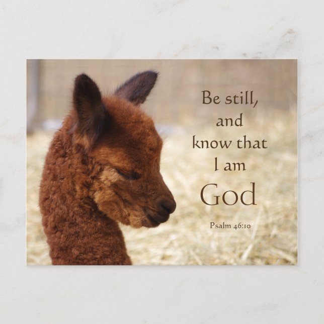 Alpaca Psalm 46:10 Postcard (Front)