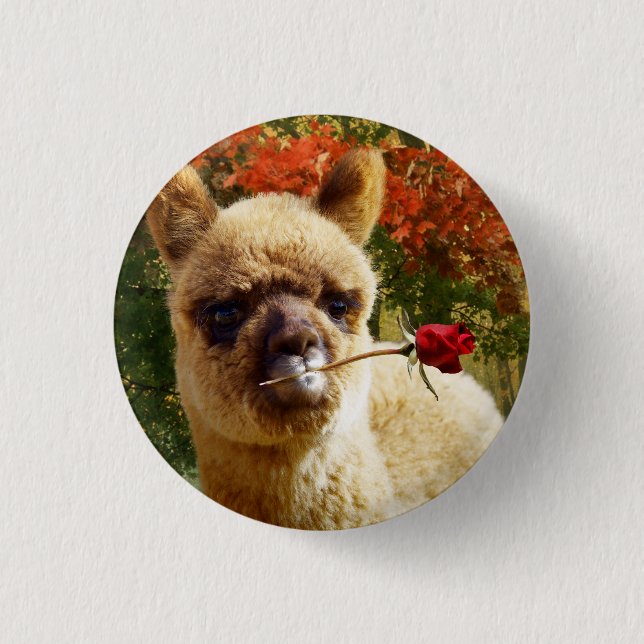 Alpaca Rose Button (Front)