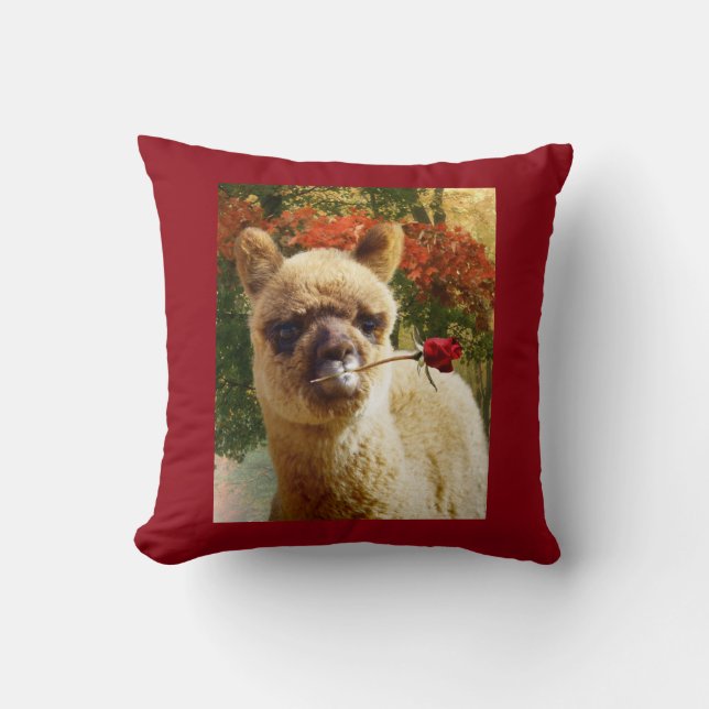 Alpaca Rose Pillow (Front)