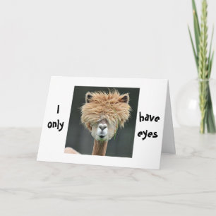ALPACA SAYS "I ONLY HAVE EYES FOR YOU" HOLIDAY CARD