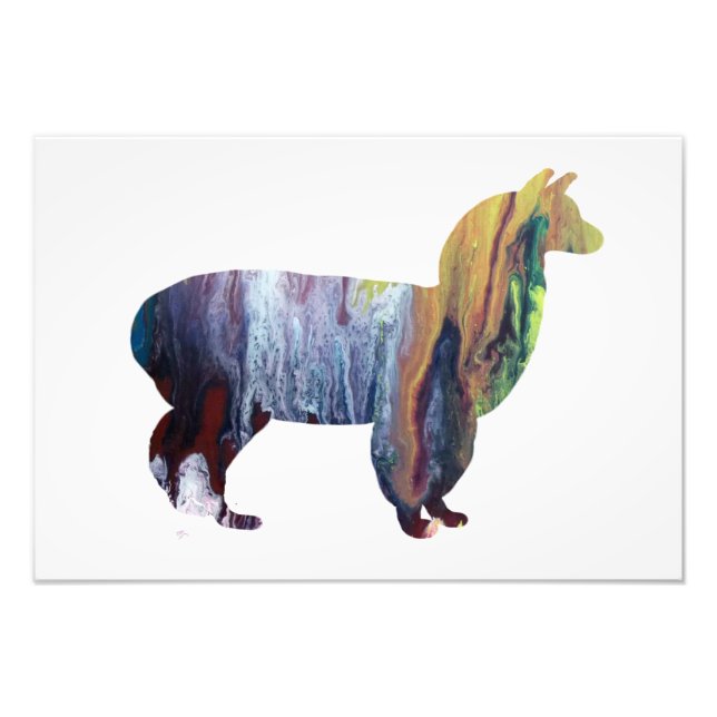 Alpaca silhouette photo print (Front)
