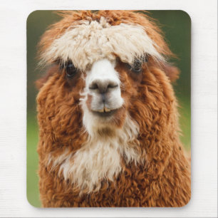 Alpaca Smiles Mouse Pad