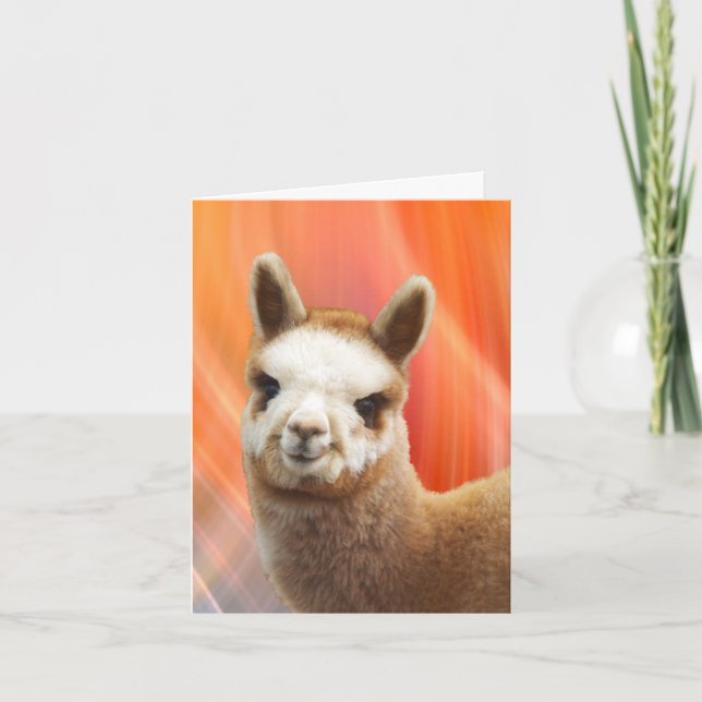 Alpaca Smiling Birthday Cards (Front)