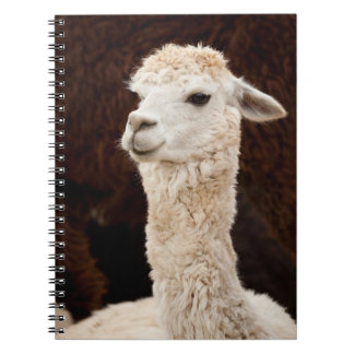 Alpaca Spiral Notebook