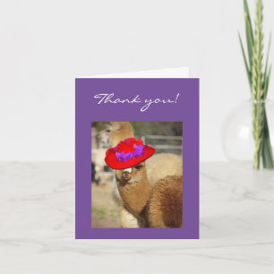 Alpaca Thank You Cards