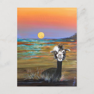 Alpaca - Vincent postcard