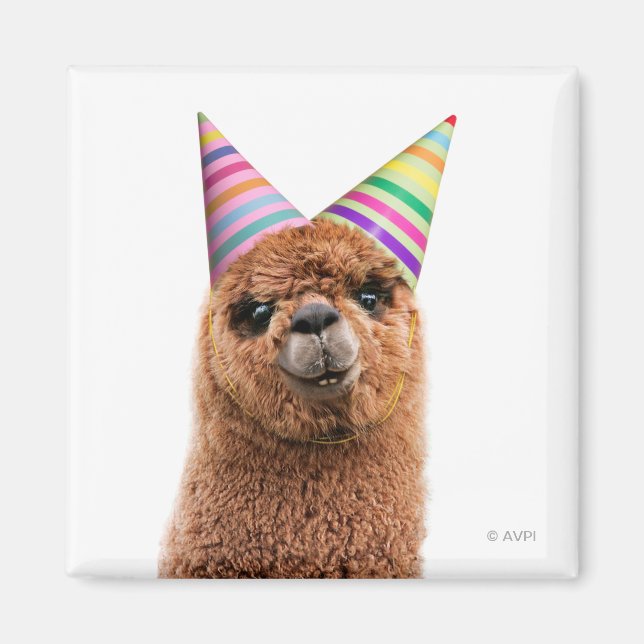 Alpaca Wearing Party Hats Magnet (Front)