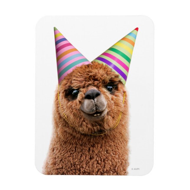 Alpaca Wearing Party Hats Magnet (Vertical)