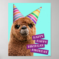Alpaca Wearing Party Hats