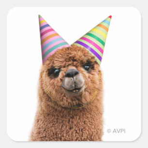 Alpaca Wearing Party Hats Square Sticker