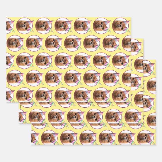 Alpaca Wearing Party Hats Wrapping Paper Sheet (Set)