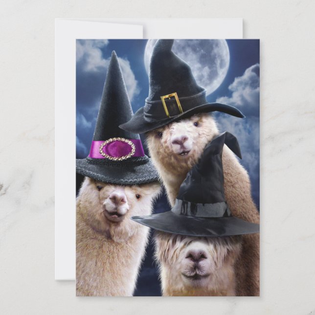 Alpaca Witches Invitation (Front)
