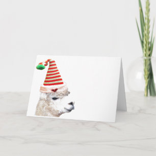 ALPACA WITH CHRISTMAS HAT CHRISTMAS Card