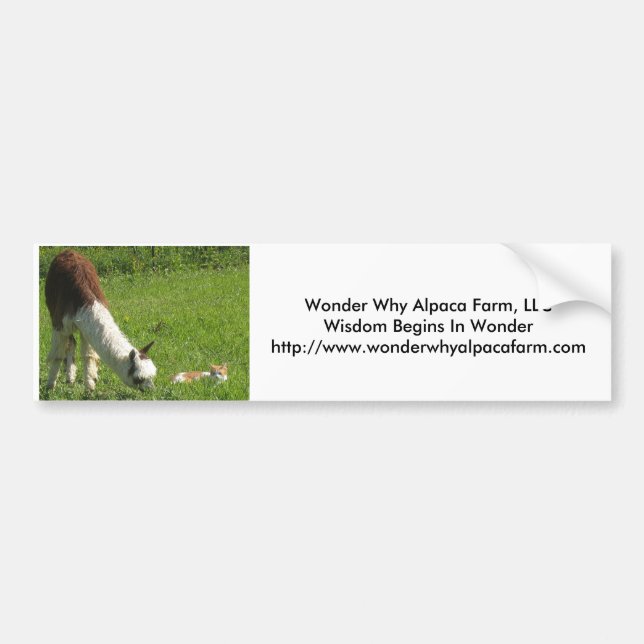 Alpaca Wonder Bumper Sticker (Front)