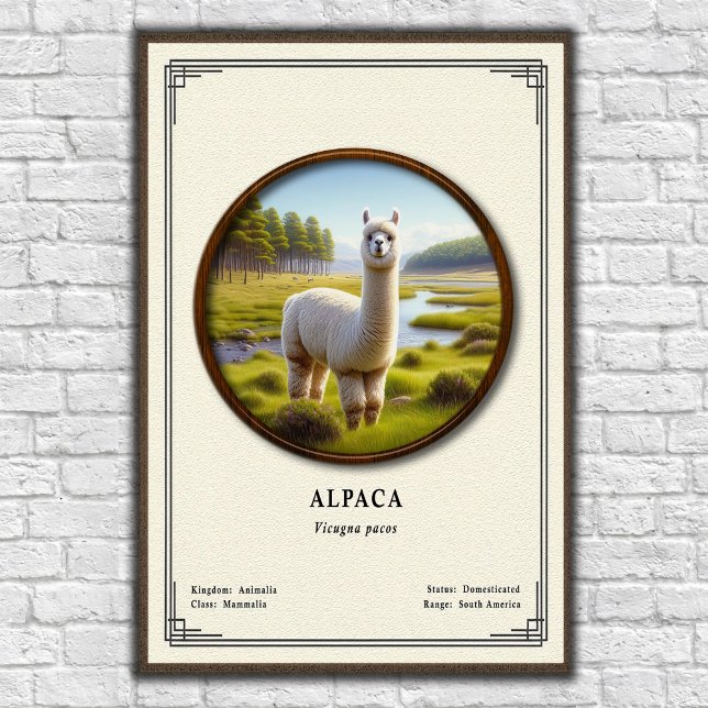 Alpaca Zoology Series Poster (Creator Uploaded)