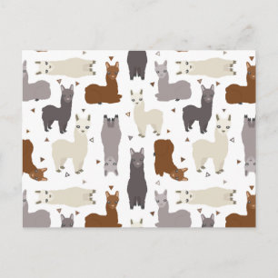 Alpacas Geo Pattern Postcard