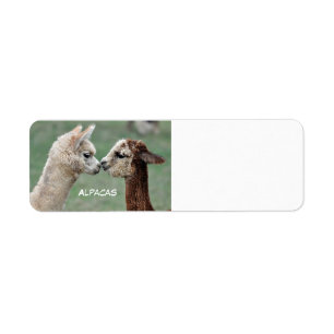 Alpacas label