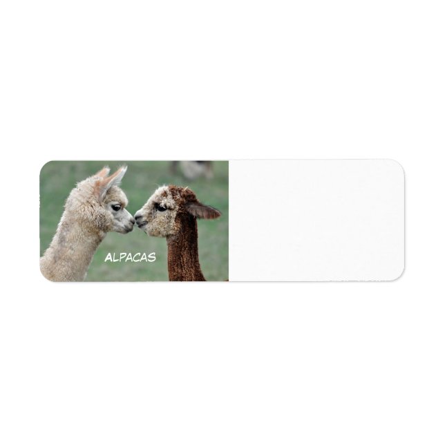 Alpacas label (Front)