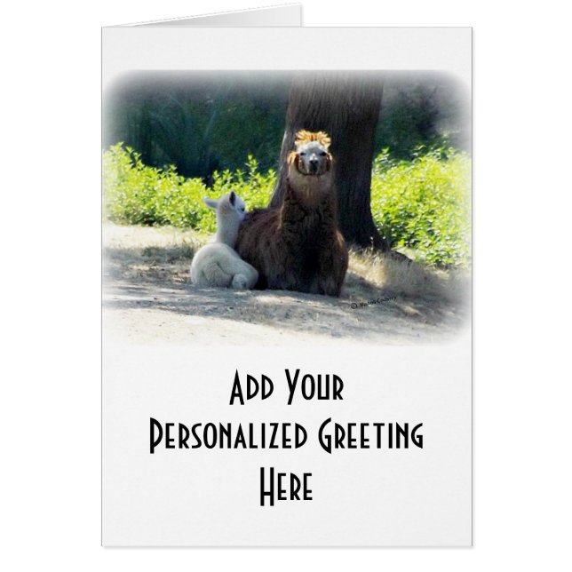 Alpacas - Mum & Baby (Front)