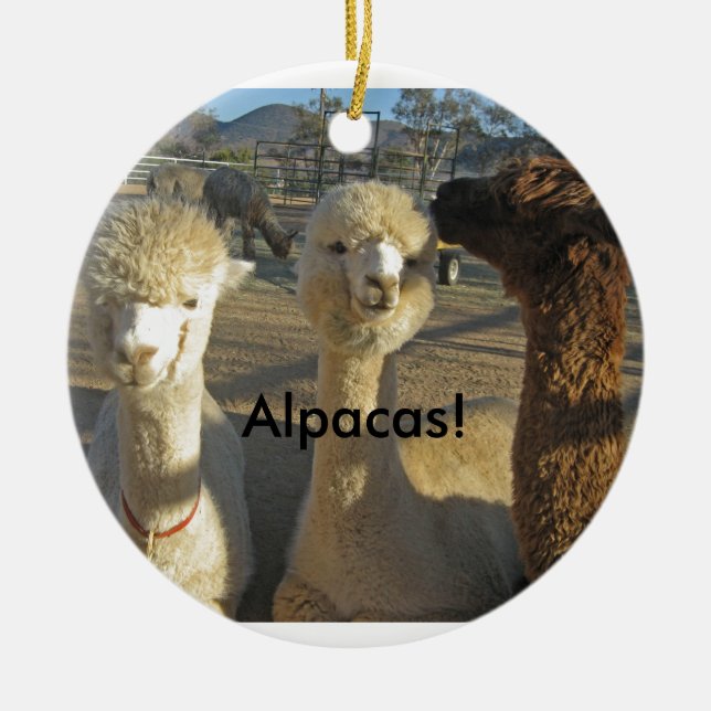Alpacas! Ornament (Front)