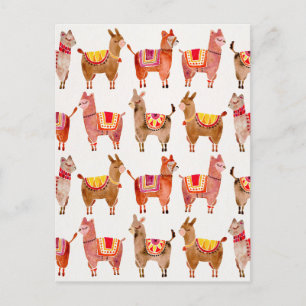 Alpacas Postcard