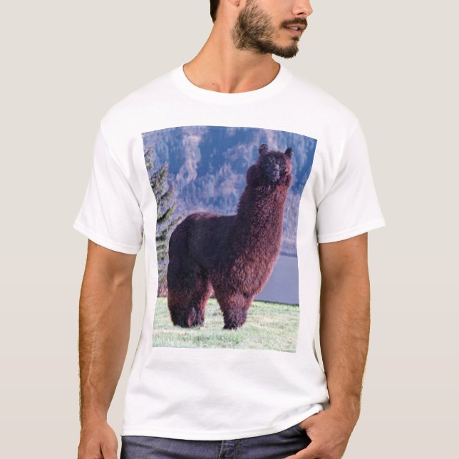 alpacas rule T-Shirt (Front)