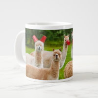 Alpacas With Red Cups