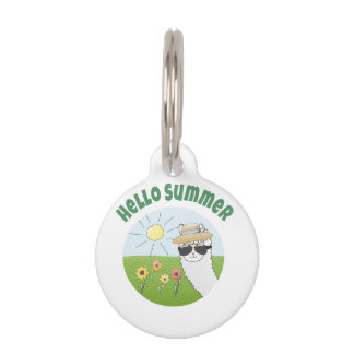 Alpaka party Hello Summer Alpaca partytime Pet Tag