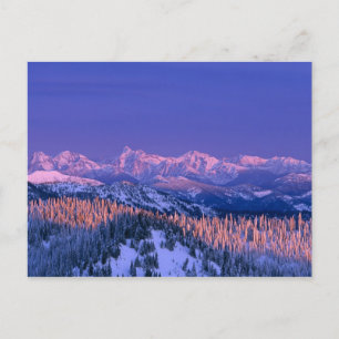 Alpenglow strikes the peaks of Glacier Postcard