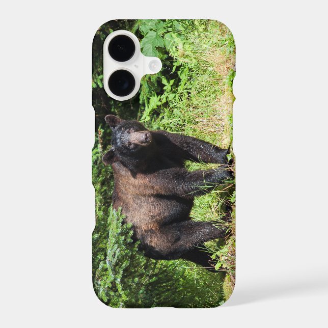 Alpha Black Bear (Back)