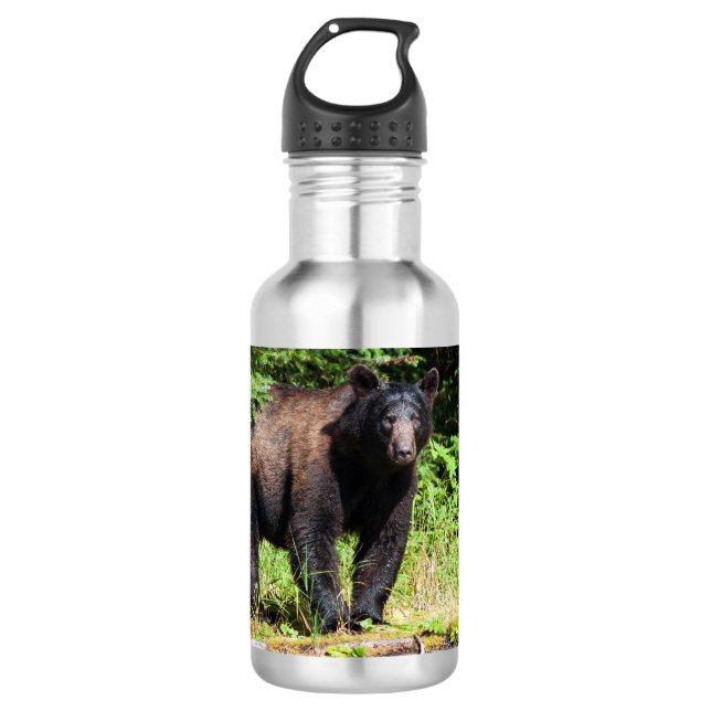 Alpha Black Bear 532 Ml Water Bottle (Front)