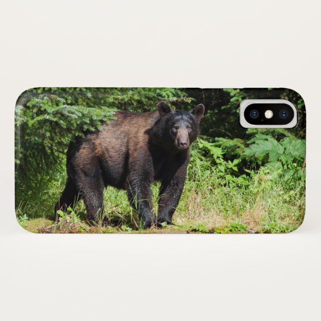 Alpha Black Bear Case-Mate iPhone Case (Back (Horizontal))